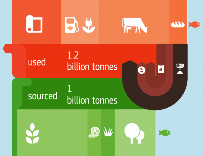 Infographics on biomass sources and uses