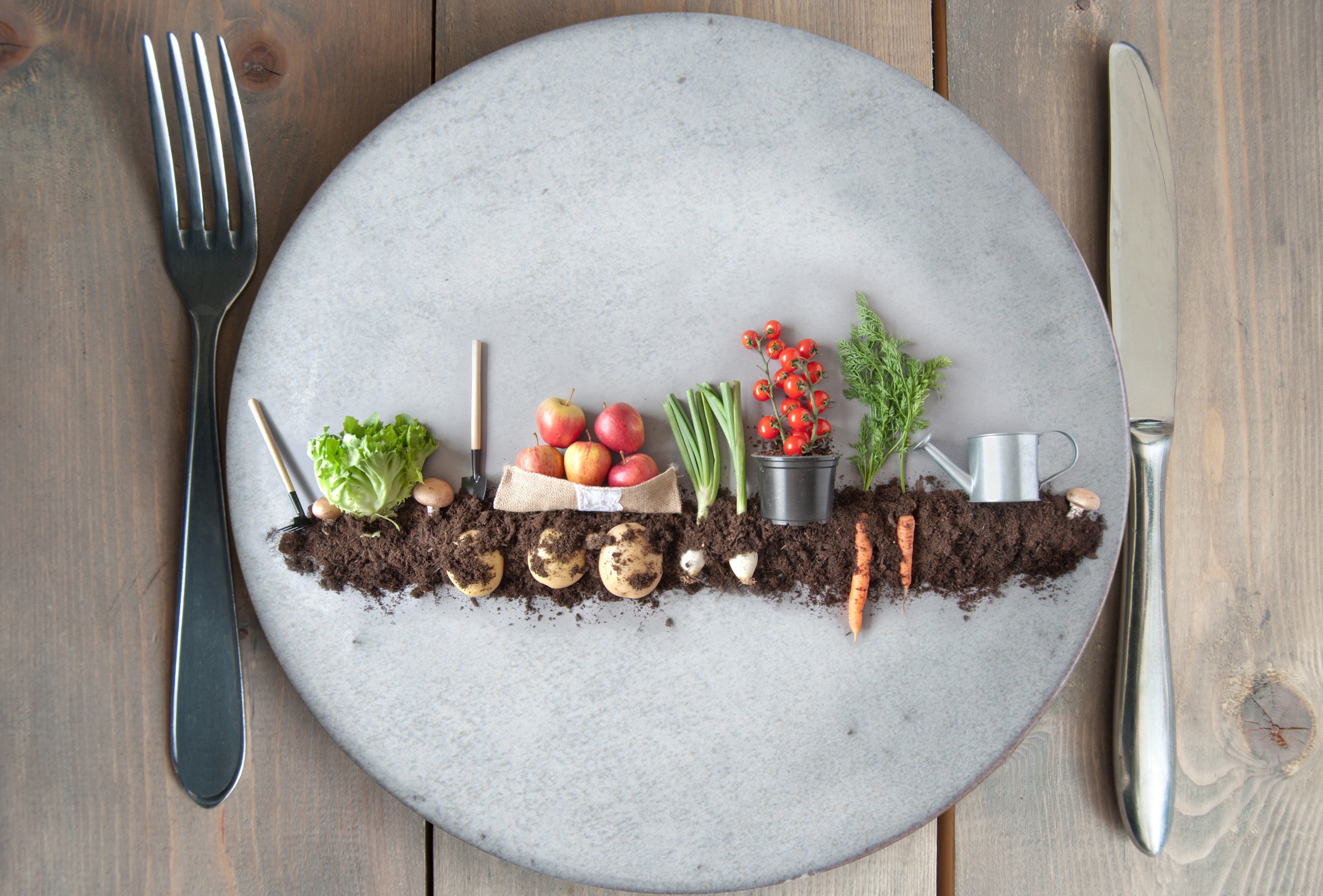 plate with food on it