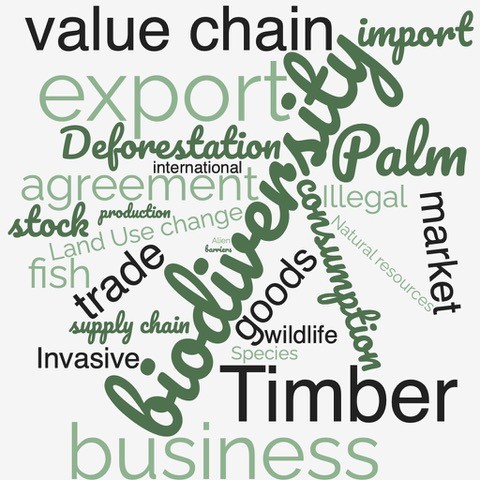 Cloud of words relative to biodiversity and trade