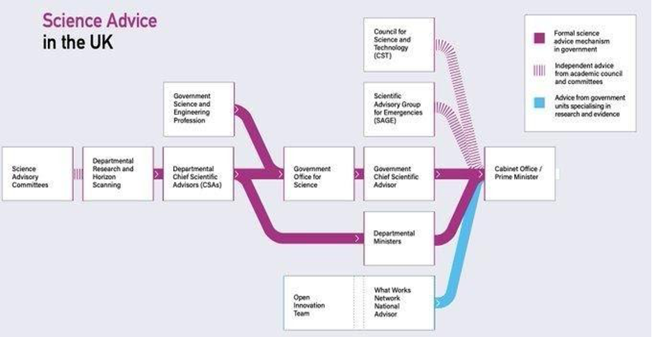 A flow chart showing the science advice system in the UK