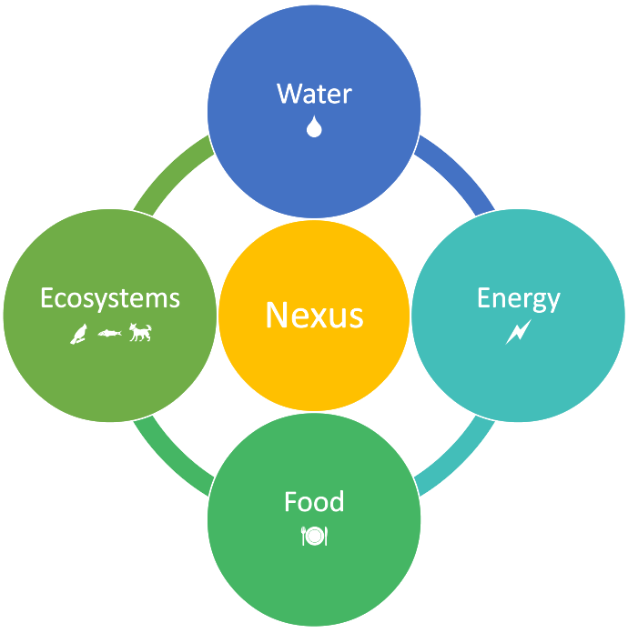 WEFE-NEXUS infographic