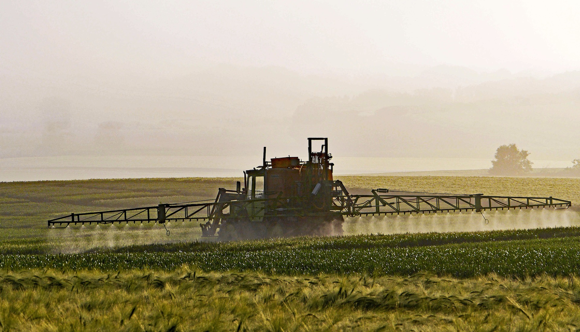 A tractor is spraying pesticides on a field