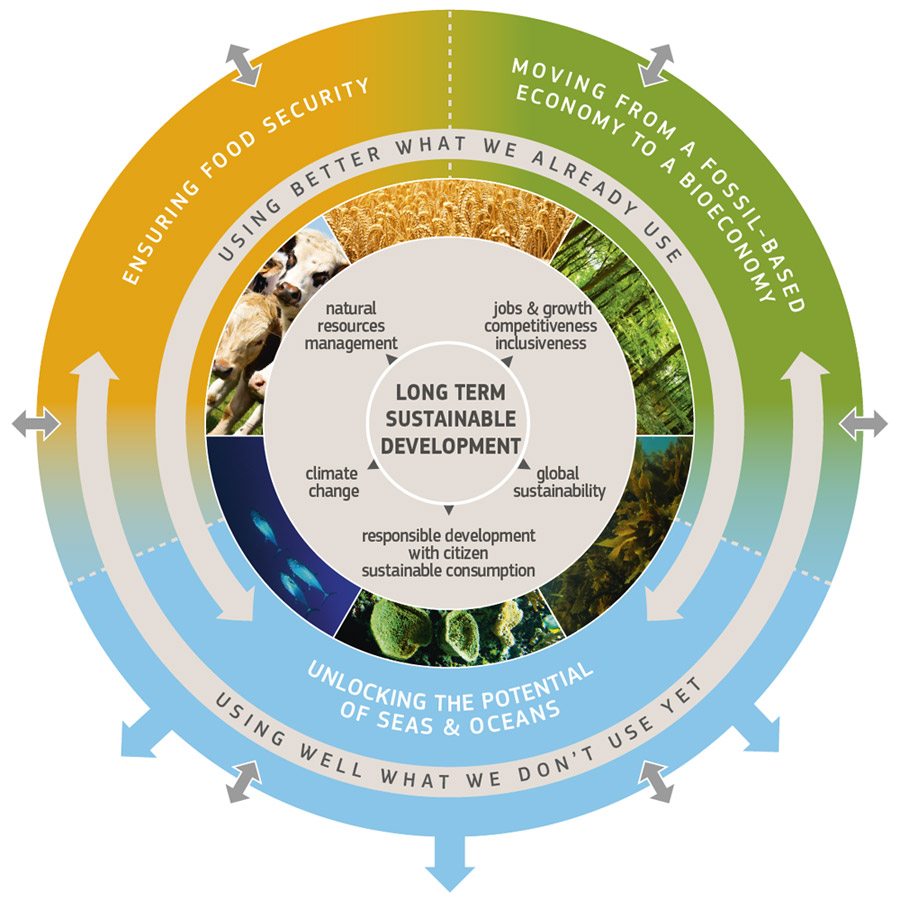 Bioeconomy graphic