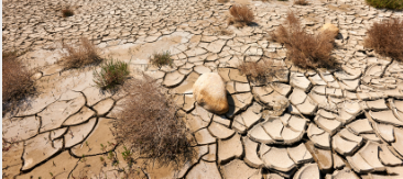 desertified land