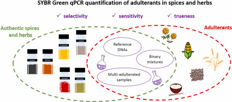 The image summarisesthe methods developed by the JRC. Authentic herbs are used to generate reference DNA, binary mixtures and multi-adulterated samples. These are used to assess the precision and trueness of the method and to check for adulteration of unknown samples.