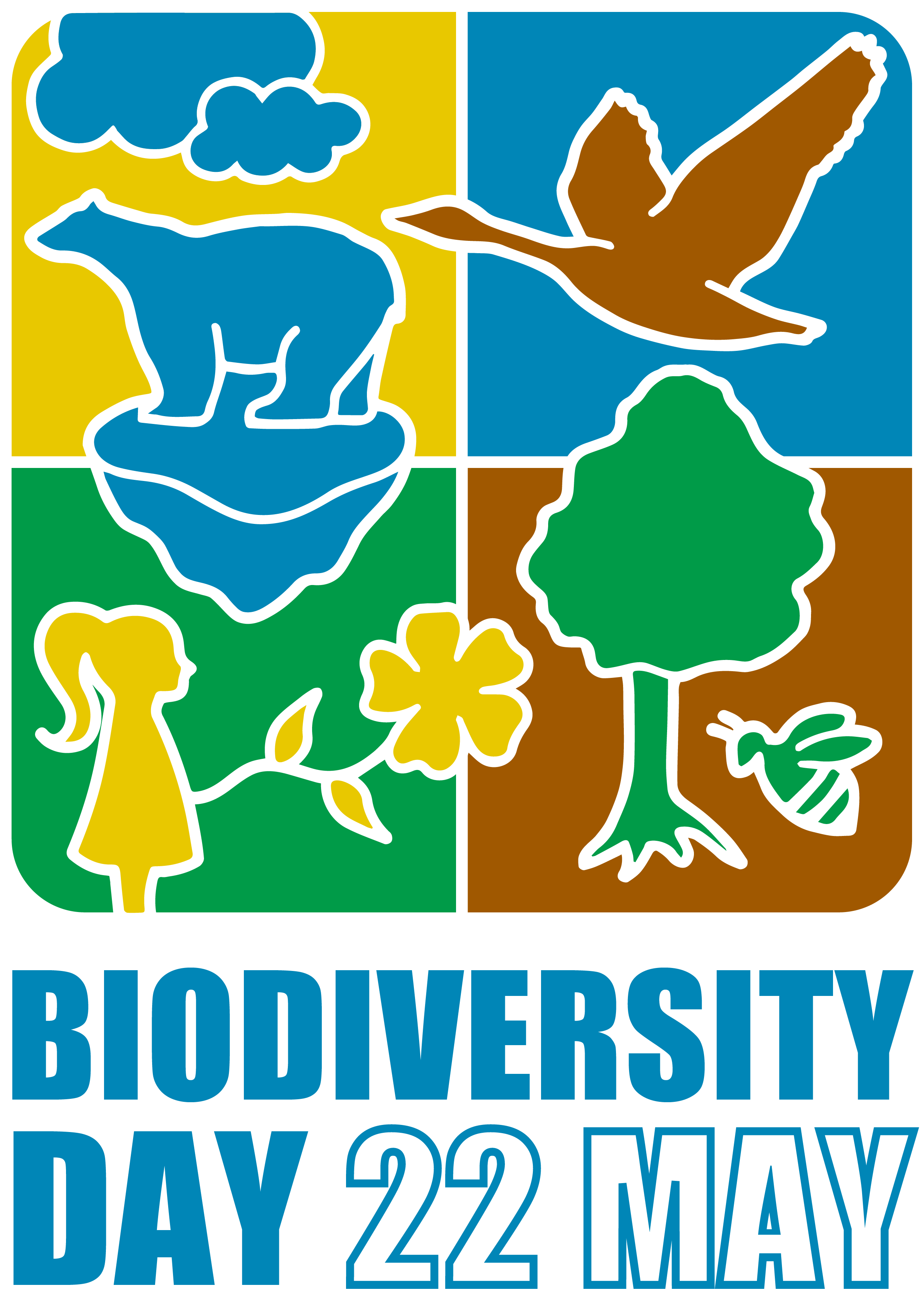 idb-logo-en-vertical_0
