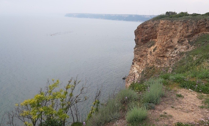 sea