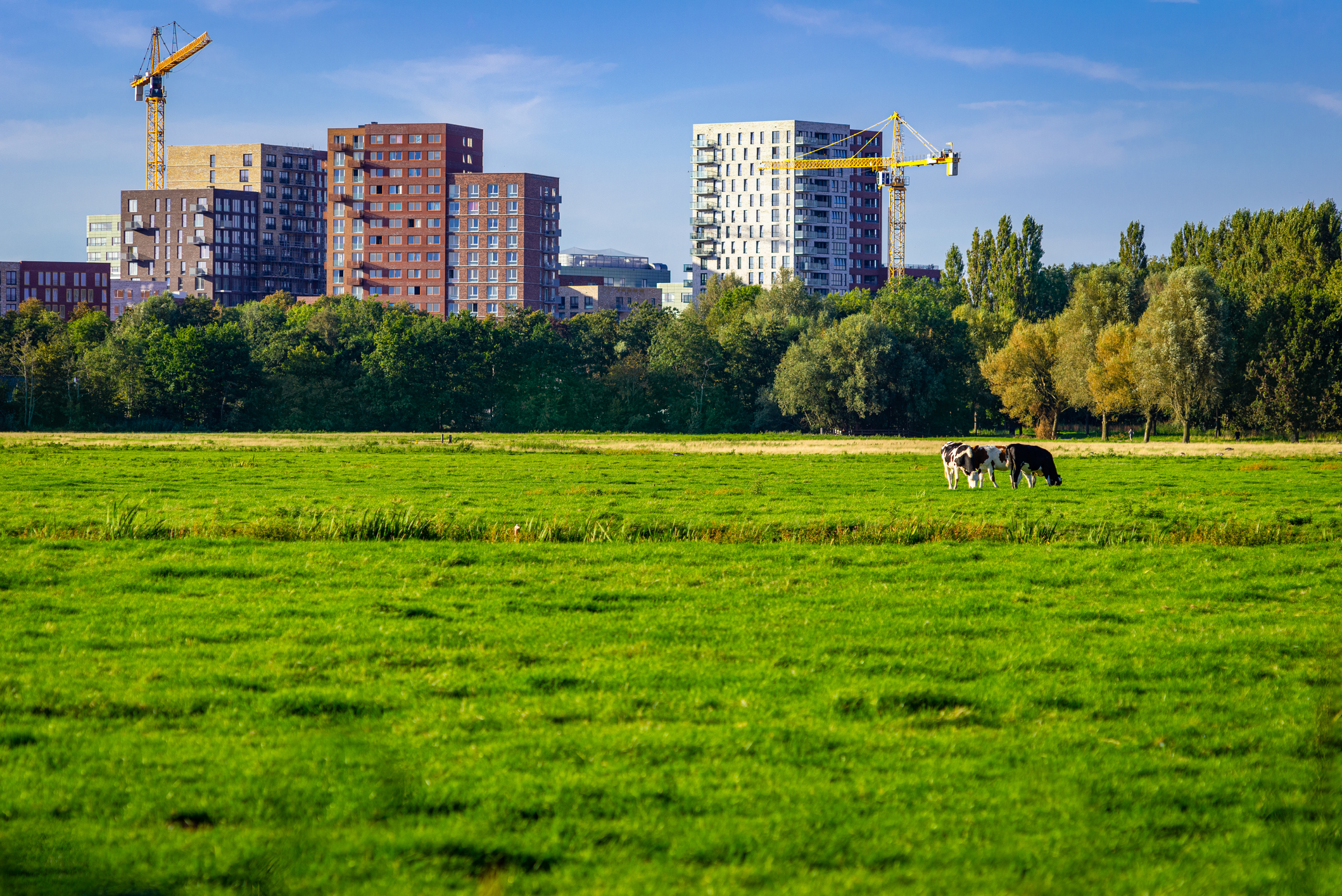 Social-ecological assessment