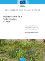 Impacts ex-ante de la Petite Irrigation au Niger