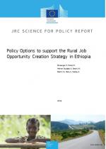 Policy options to support the rural job opportunities creation strategy in Ethiopia