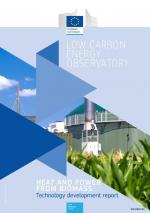 Heat and Power from Biomass: Technology Development Report