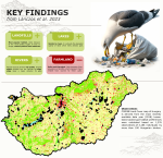Hungary&#039;s gulls: Remote sensing and citizen science unite