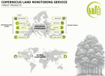 OBSERVER: Monitoring the World’s Forests with Copernicus Land