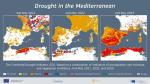 drought mediterranean may