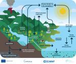 Carbon Cycle AMS