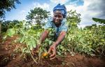 Satellite Data- A Solution for African Farmers
