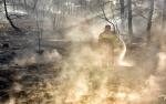 CAMS tracks smoke from intense Canadian wildfires reaching Europe