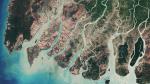How satellites save mangroves from space