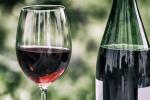 OBSERVER: Copernicus supports the art of making fine wine