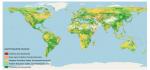 OBSERVER: CLMS monitors the heartbeat of our vegetation