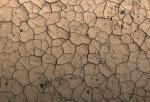 In West Africa, monitoring droughts with satellites saves lives