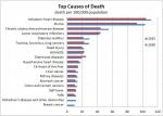 Top Causes of Death -- Global Projections of mortality and causes of death, 2015 and 2030