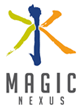 MAGIC (Moving Towards Adaptive Governance in Complexity: Informing Nexus Security)