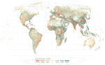 Global estimates of net migration at high spatial resolution 1975-2020