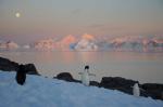 New Antarctic extremes &#039;virtually certain&#039; as world warms