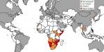 High maize prices in the Horn of Africa due to drought; early season dryness in Thailand and parts of North Korea