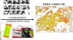 EU satellite images improve Taiwan crop yield data