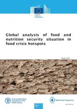 Global analysis of food and nutrition security situation in food crisis hotspots