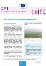 Algal blooms and their socio-economic impact