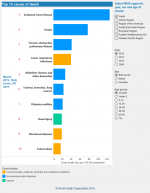 Top 10 causes of death, worldwide, 2015