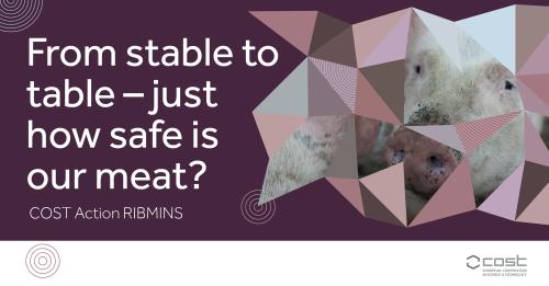From stable to table - just how safe is our meat?
