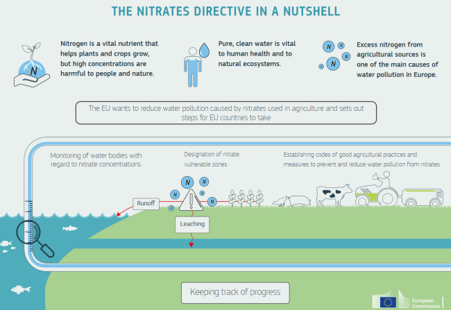The Nitrates Directive in a nutshell Infographic describing the Nitrates Directive