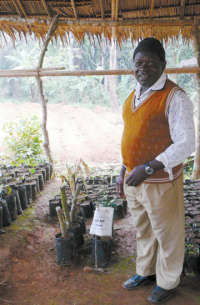 Cameroon_Picture