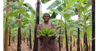 Uganda_Picture