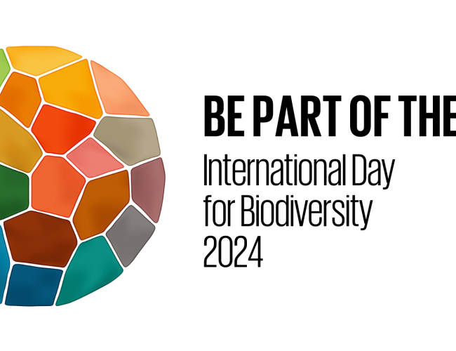 International Day for Biological Diversity 2024: "Be part of the Plan"