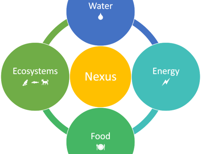 Water-Energy-Food-Ecosystem (WEFE) Nexus
