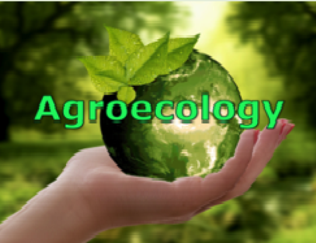 Agroecology