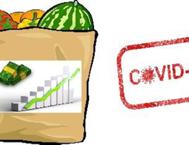 COVID-19 and Food and Nutrition Security
