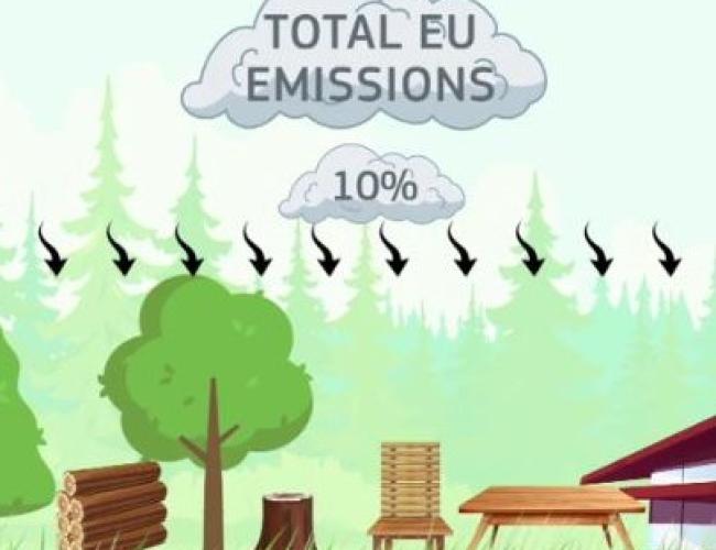 Forest-based bioeconomy for climate change mitigation