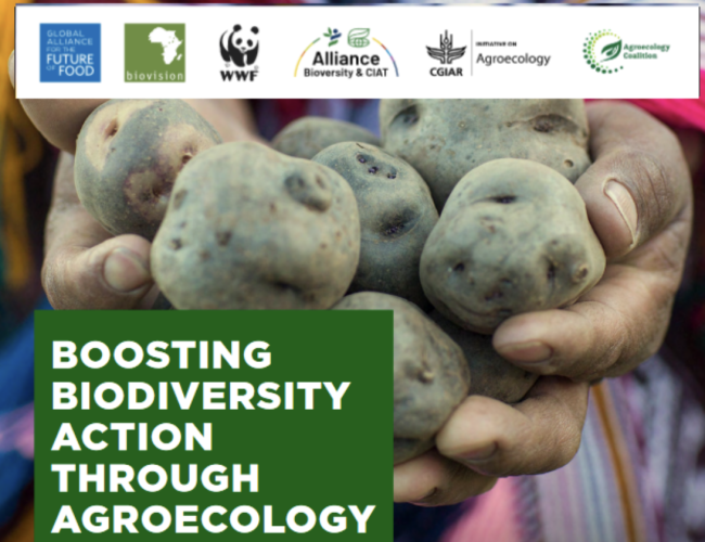 Scaling up Agroecology in Biodiversity Strategies
