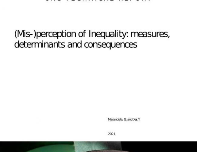 (Mis-)perception of Inequality: Measures, determinants and consequences