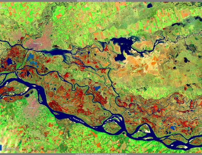 Monitoring Critical Wetland Habitats
