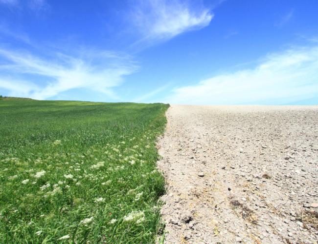 Regenerative agriculture Policy&Trends