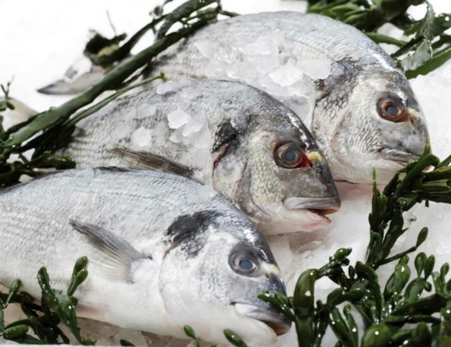 Seaweeds boost aquaculture’s health