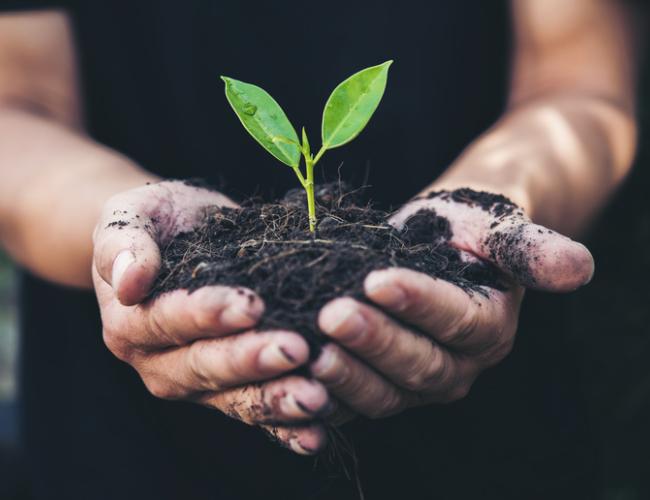 Co-innovation in the agricultural sector