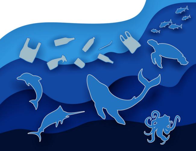 CORDIS Results pack Marine biodiversity